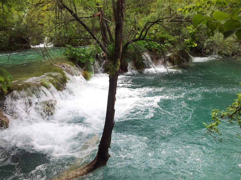 Guest House Family Varda Plitvice Lakes Plitvička Jezera Kültér fotó